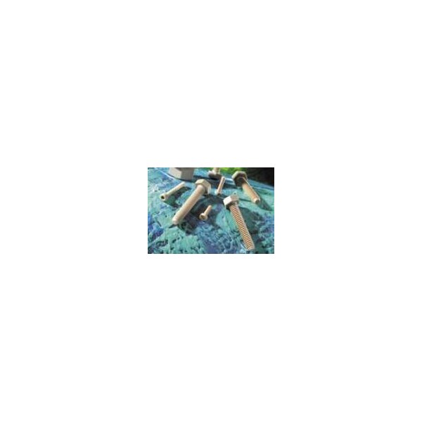 Professional Plastics #10-24 x 1 in Slotted Pan Machine Screw, Plain PEEK HSCREWPEEK10-24X.50SLOTEDPANHD - main